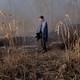 photo du film L'Écume des jours