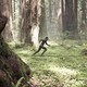 photo du film After Earth