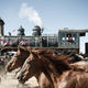photo du film Lone Ranger