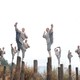 photo du film Shaolin