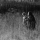 photo du film Mon enfance