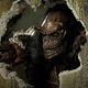 photo du film Dark floors