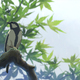 photo du film Le jardin des mots