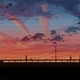 photo du film 5 centimètres par seconde