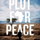 photo du film Plot for Peace