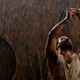 photo du film l'île : les naufragés de la terre perdue