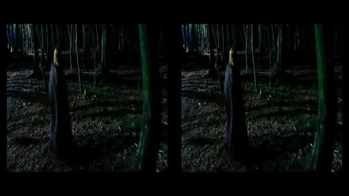 Extrait vidéo du film  Dracula 3D