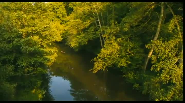 Extrait vidéo du film  sacrés rongeurs