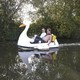 photo du film Swandown