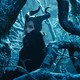photo du film Maléfique