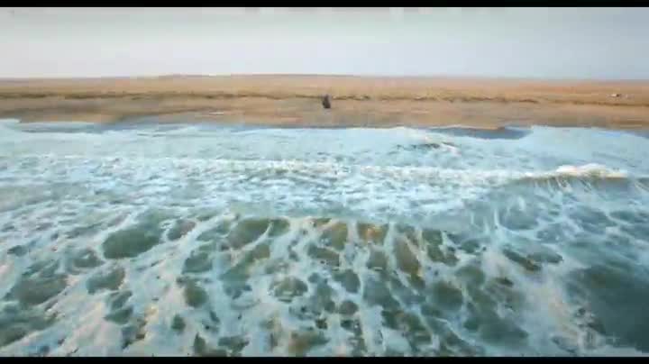 Extrait vidéo du film  African Safari 3D