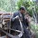 photo du film Belle et Sébastien