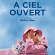 photo du film À ciel ouvert