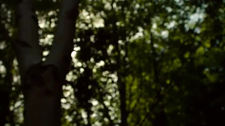Extrait vidéo du film  Karma Shadub