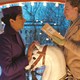 photo du film The Grand Budapest Hotel