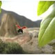 photo du film Minuscule - La Vallée des fourmis perdues