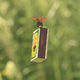 photo du film Minuscule - La Vallée des fourmis perdues