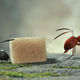 photo du film Minuscule - La Vallée des fourmis perdues