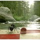 photo du film Minuscule - La Vallée des fourmis perdues