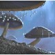 photo du film Minuscule - La Vallée des fourmis perdues