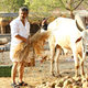 photo du film Veeram