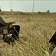 photo du film Le Chemin
