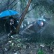 photo du film Les Chiens errants