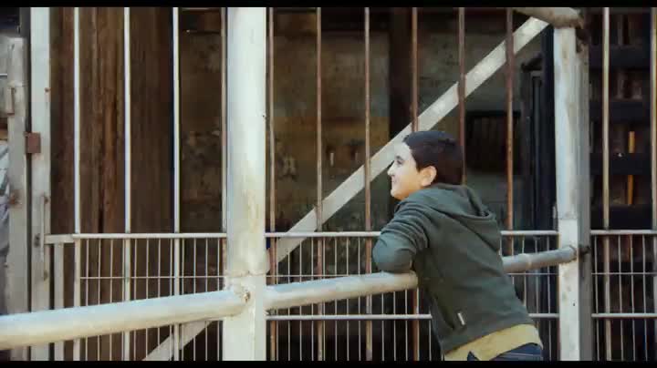 Extrait vidéo du film  Girafada