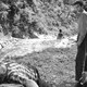 photo du film Satyajit Ray, le poète bengali - 1ère partie