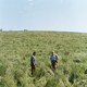photo du film La Dune