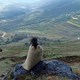 photo du film Les Trois sœurs du Yunnan