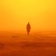 photo du film Blade Runner 2049