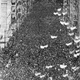 photo du film A caça revoluções