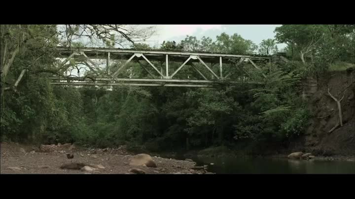 Extrait vidéo du film  Rio