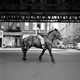 photo du film À la recherche de Vivian Maier