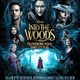 photo du film Into the Woods - Promenons-nous dans les bois