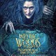 photo du film Into the Woods - Promenons-nous dans les bois
