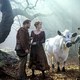 photo du film Into the Woods - Promenons-nous dans les bois