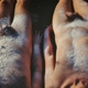 photo du film Mon amour
