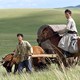 photo du film Le Dernier loup