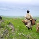 photo du film Le Dernier loup