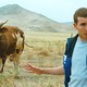 photo du film Le Veau d'or