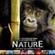photo du film Nature