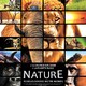 photo du film Nature
