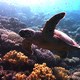 photo du film Nature