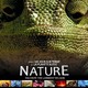 photo du film Nature