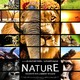 photo du film Nature