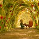 photo du film Le Petit Prince