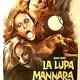 photo du film La louve sanguinaire