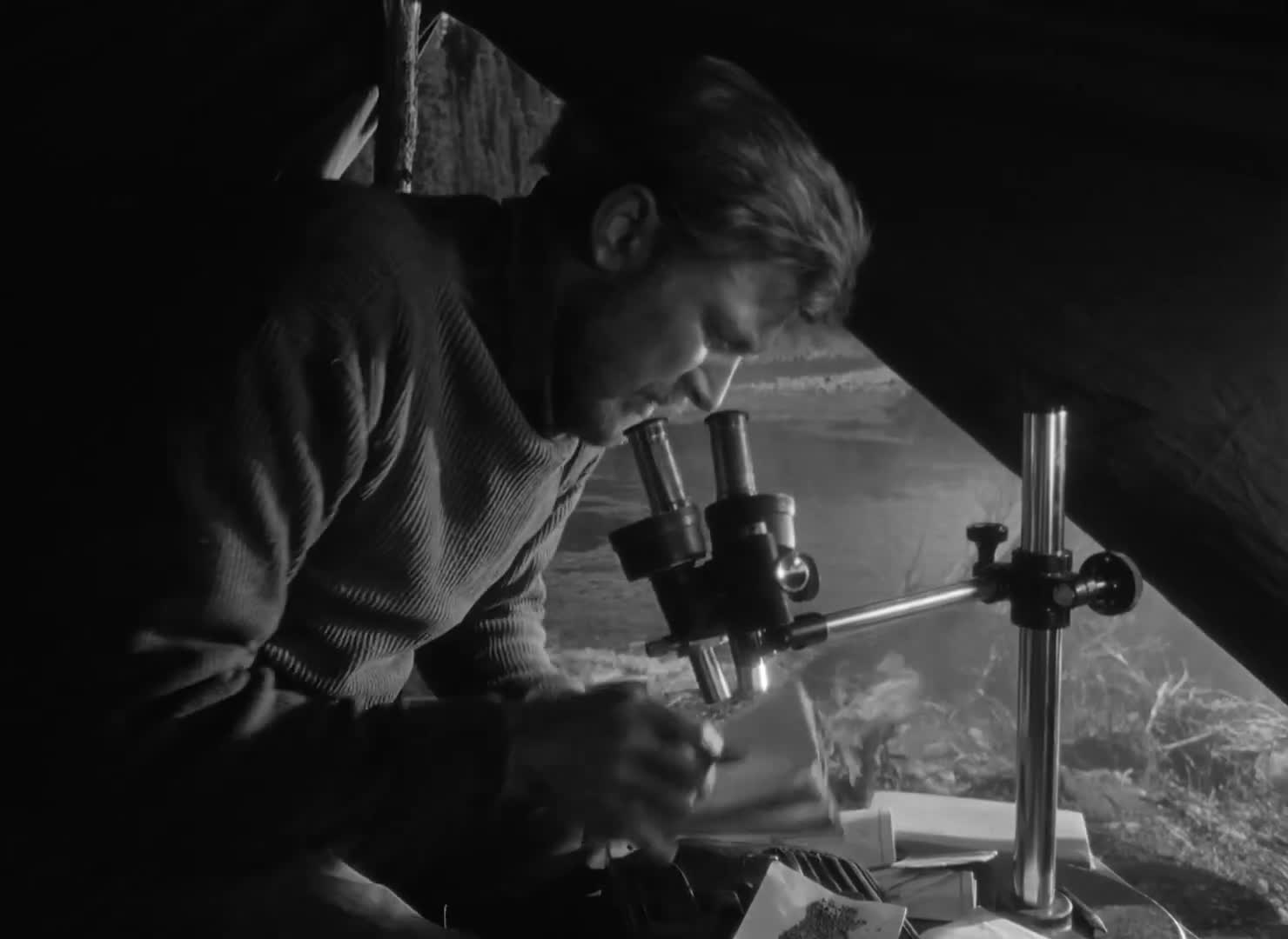 Extrait vidéo du film  La Lettre inachevée